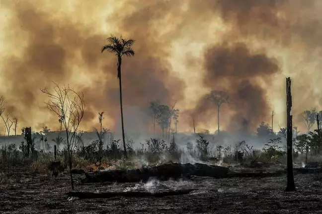 Com governo Lula, o que esperar em relação à Amazônia?