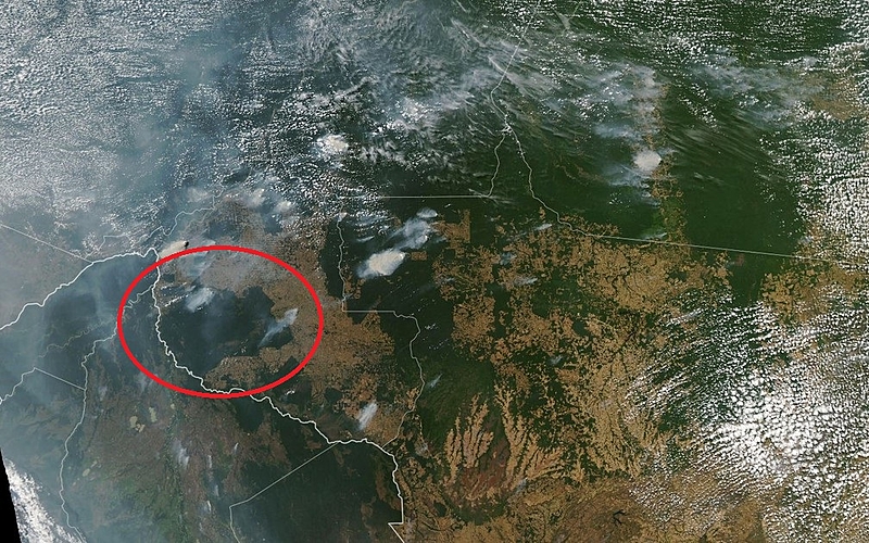 Ações judiciais ligam JBS à destruição de reserva extrativista mais desmatada da Amazônia