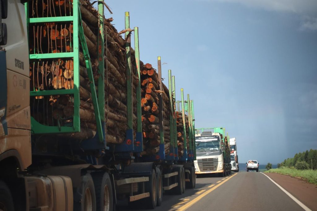 Crescer e distribuir: a nova agenda do desenvolvimento em Mato Grosso do Sul