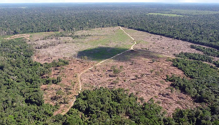 Brasil vai oficializar objetivo de alcançar neutralidade de carbono em 2050, mas deve cobrar mais financiamento de países ricos a nações em desenvolvimentoFoto: REUTERS/Leonardo Benassatto / BBC News Brasil
